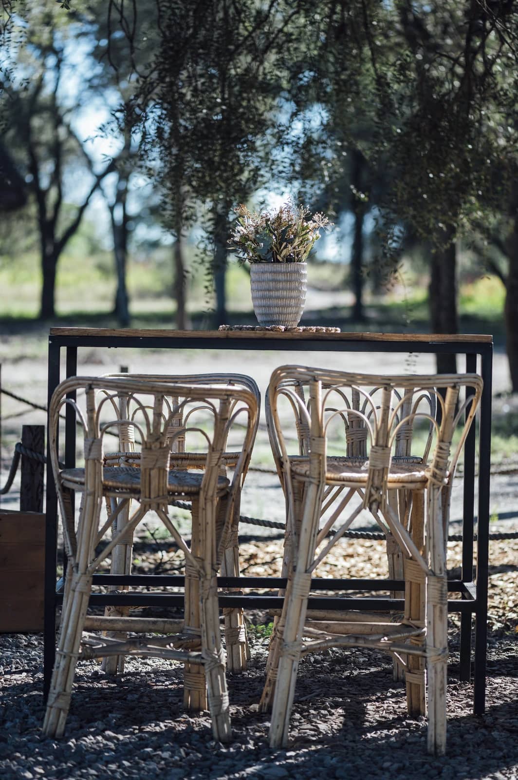 Café en el Bosque — foto 03