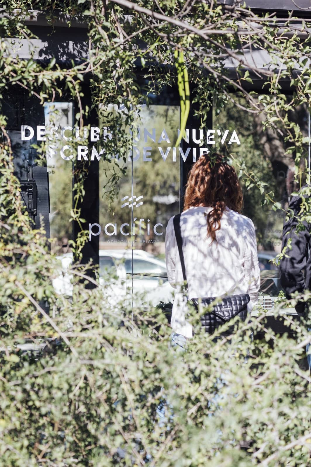 Café en el Bosque — foto 164